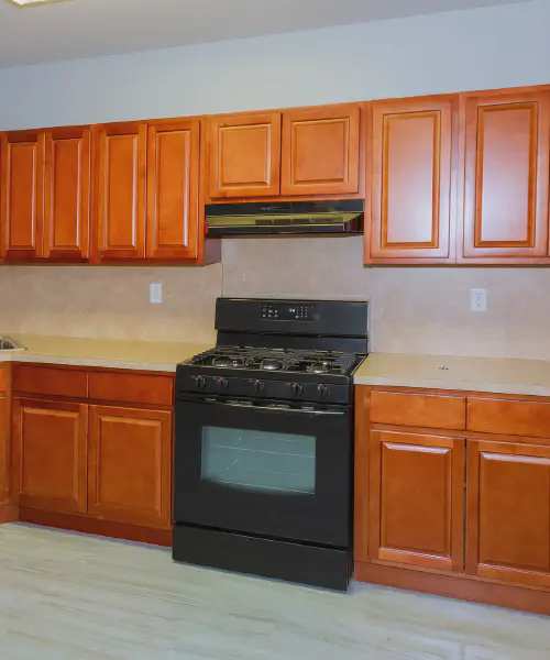 Cabinet Painting